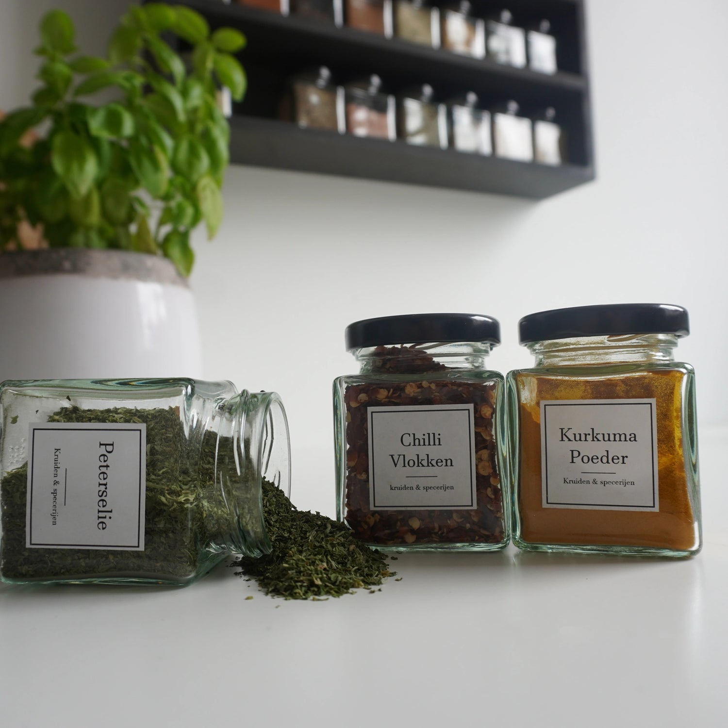 Vierkante kruidenpotjes met witte labels
