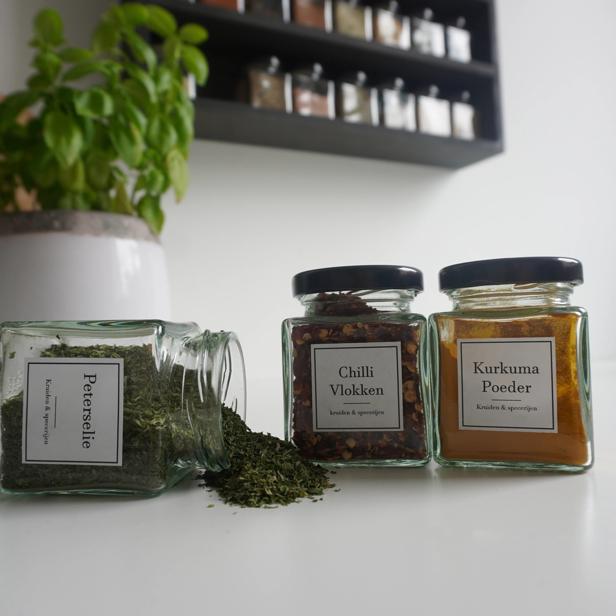 Vierkante kruidenpotjes met witte labels